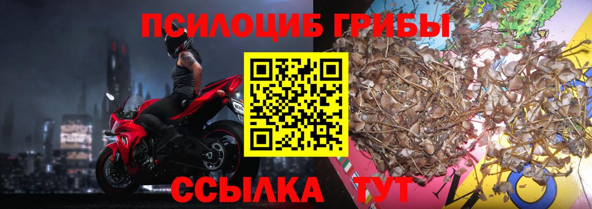 Дедовск  Псилоцибиновые грибы мухоморы  где можно купить наркотик  Вход с VPN 